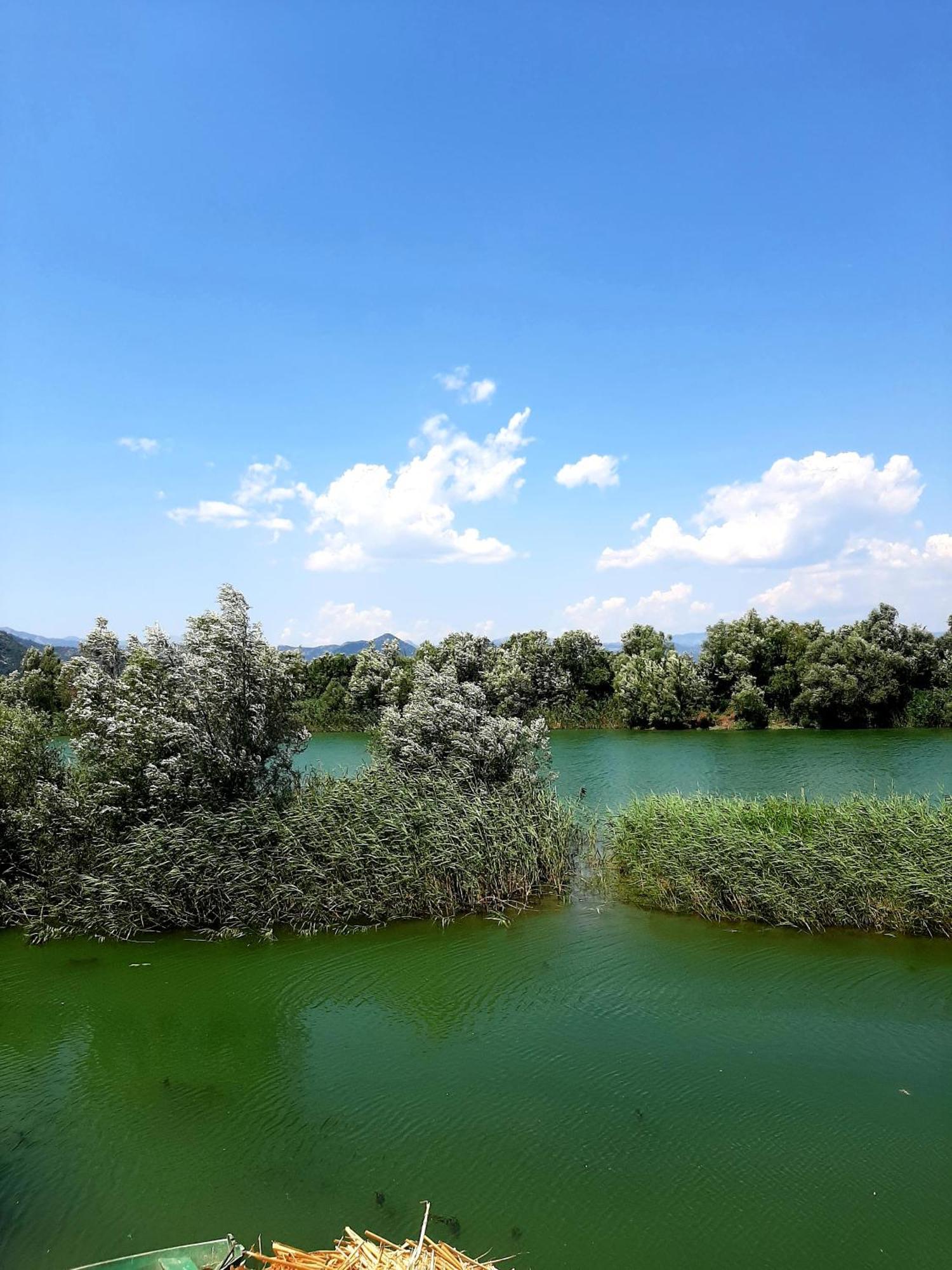 Skadar Lake House Вирпазар Екстериор снимка